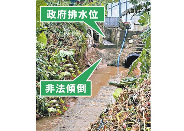 非法填土塞河道  遇暴雨一鑊泡