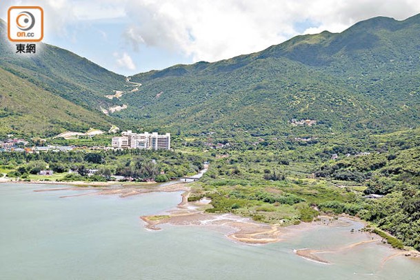 東涌河及附近的濕地環境，孕育不少蜻蜓物種。