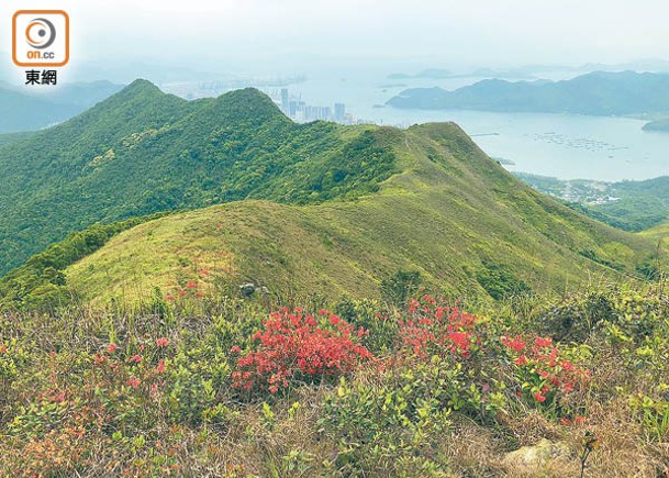 有區議員指紅花嶺郊野公園毗鄰堆填區，臭味和視覺污染簡直大殺風景。