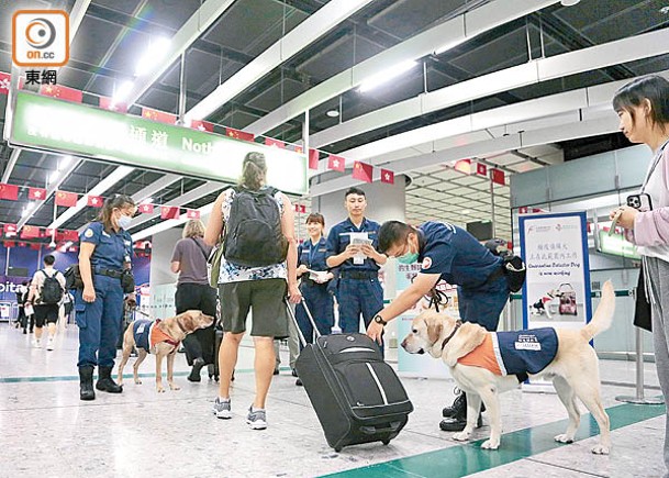 檢疫偵測犬會在口岸協助執法人員執勤。（陳德賢攝）