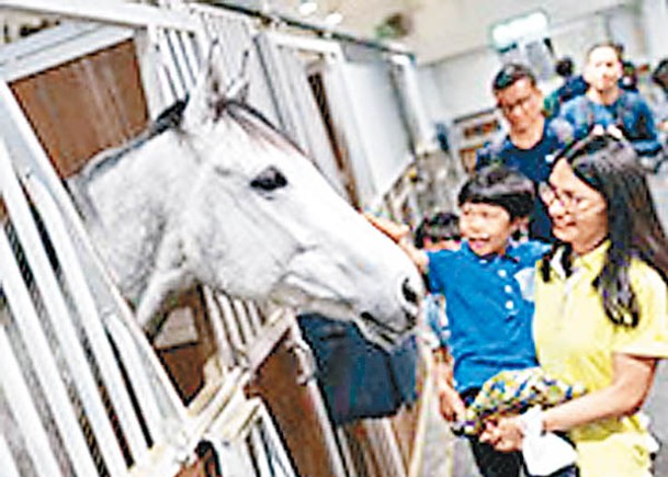 馬會推出一系列活動，慶祝成立140周年。（馬會提供）