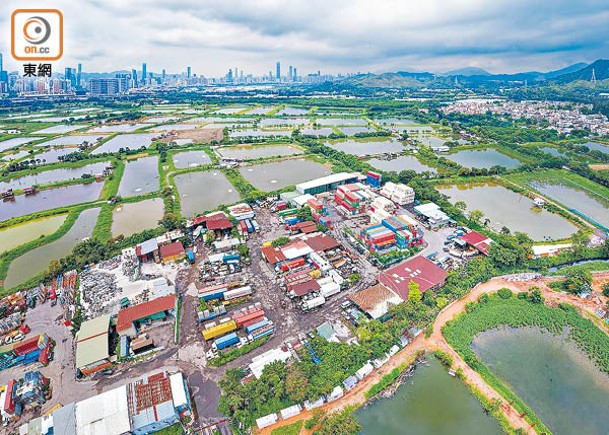 政府擬建立濕地保育公園系統策略。