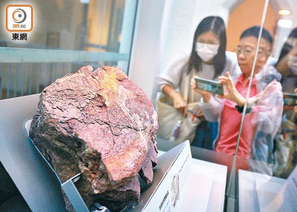 市民到文物探知館看恐龍化石。