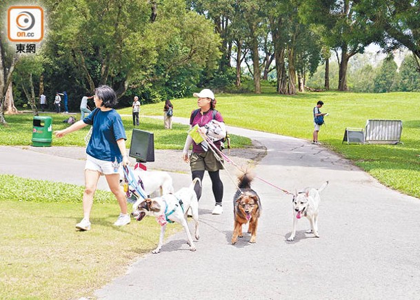 東呼即應：12靈猴亡  聞疽膽喪  主人遛狗心慌慌