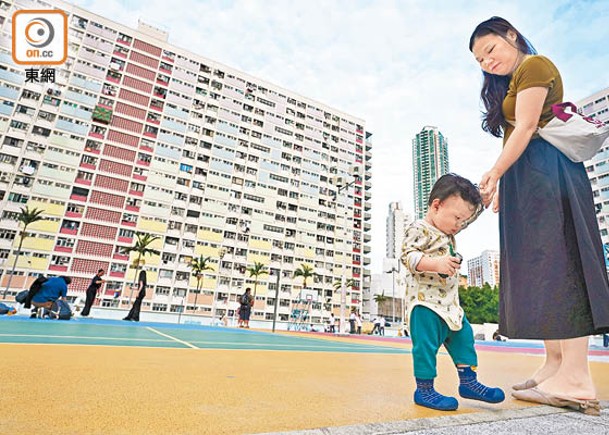 彩虹邨重建  議員倡「睇樓團」揀安置方案