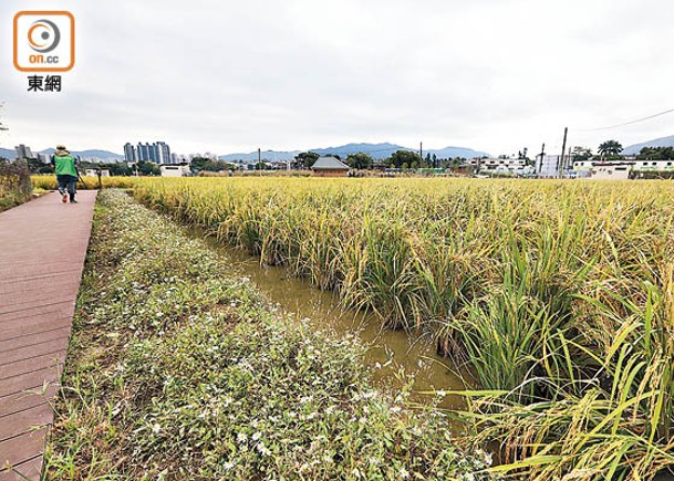 3生態公園本月揭幕  當局：保護環境成果