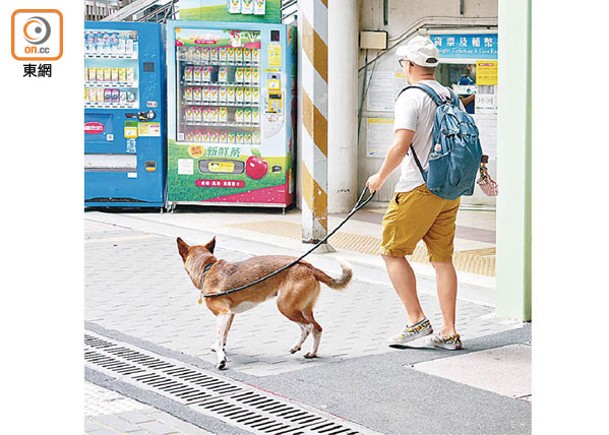 禁寵物狗入食肆  議員促放寬