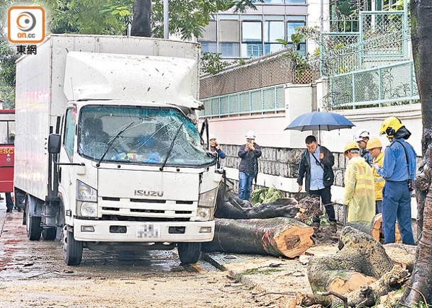 九龍塘大圍  1小時2宗塌樹壓3車