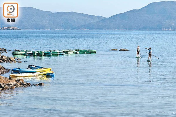 海面有人泊了多艘獨木舟，有人正在玩直立板。