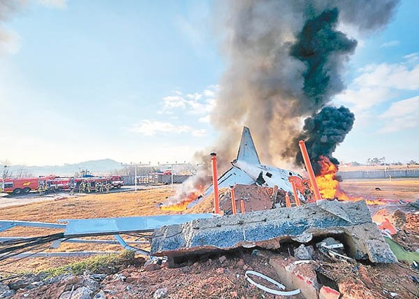 鳥群突襲客機  韓最慘空難179死