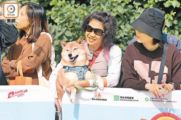 市民帶同他們的狗狗一同參與此次嘉年華。（李志湧攝）