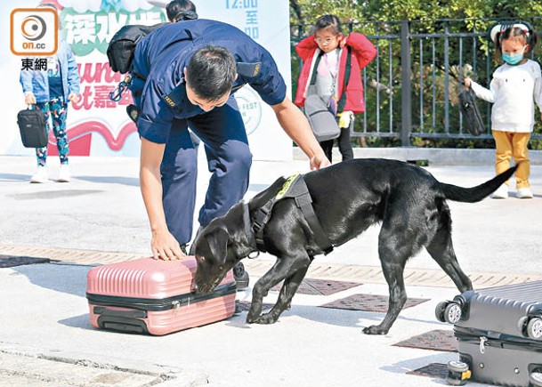 紀律部隊工作犬現場演示牠們的工作內容。