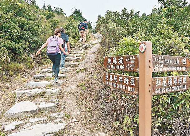 活化郊園  蓮麻坑鉛礦洞開放