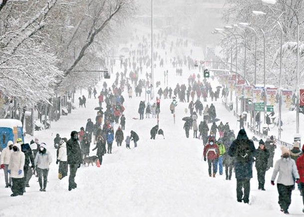 東呼即應：食雪無異於吃泥  東呼即應勸咪制