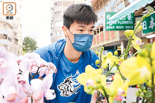 「阿卜」應節逛花市，對各種花卉充滿好奇。