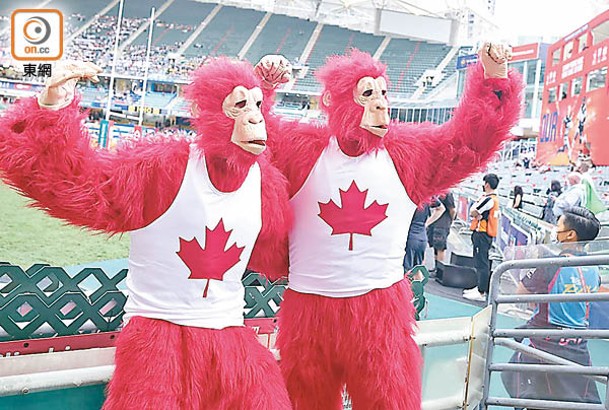 加拿大球迷撐愛隊出晒位。