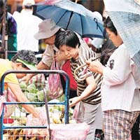 台北市民紛趁颱風來襲前搶購蔬菜。	（本報台北傳真）