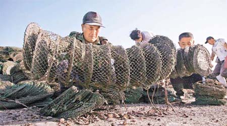 漏油事故令河北養殖戶的扇貝大量死亡，惟索償不成功。	（中新社圖片）