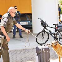 洛杉磯機場警察攜同搜索犬檢查行李。	（中新社圖片）