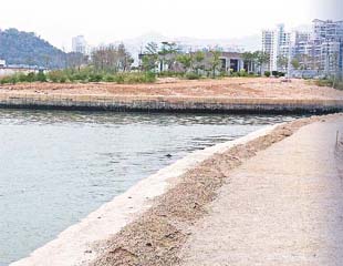 深圳海灣污染恐重創港蠔業