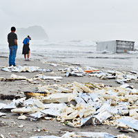 海洋垃圾嚴重影響生態環境。（資料圖片）