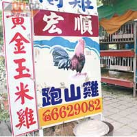台灣南部有雞場傳出禽流感疫情後，較安全的跑山雞（走地雞）成搶手貨。（郭良傑攝）