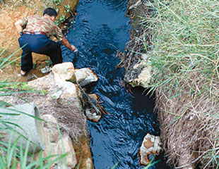 全國污染嚴重「粵河涌全是黑的」