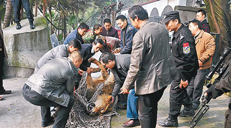 （中新社圖片）