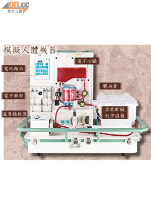 將捐贈者肝臟放入保溫箱內，以膠造血管連接機器，令肝臟於人體溫度下維持運作。