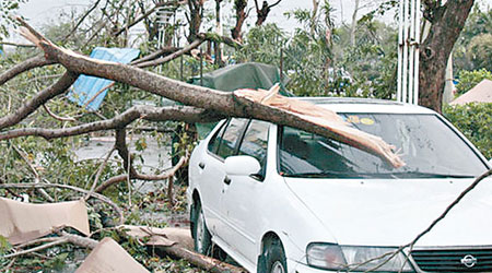 東莞日前遭冰雹及龍捲風夾擊，圖為私家車被狂風吹倒的樹木壓住。