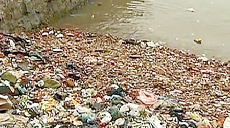 樂清灣岸邊布滿大堆垃圾。　（電視畫面）
