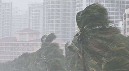 海南三亞海邊的椰樹被狂風勁刮。（中新社圖片）