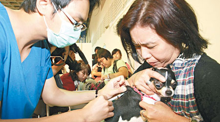 獸醫為寵物提供瘋狗症疫苗注射。（中央社圖片）