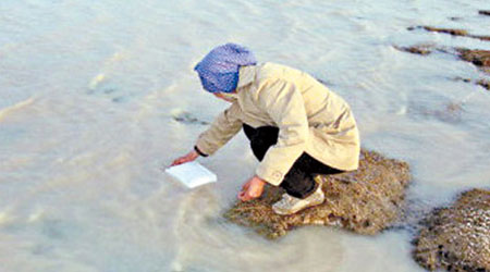 內蒙古水質污染問題一向嚴重。