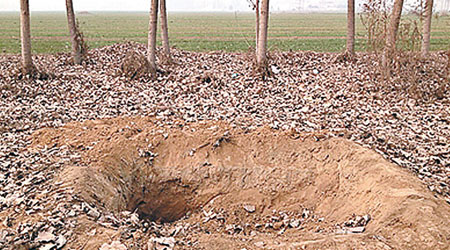 犯罪集團把受害人屍體埋在村內樹林中。（互聯網圖片）