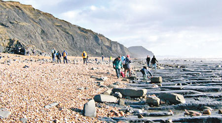 英國各地人士紛紛湧往侏羅紀海岸尋找化石。（互聯網圖片）