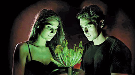 發光植物可輕易營造浪漫氣氛。 (互聯網圖片)