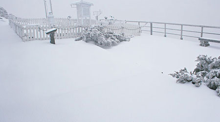 玉山變成白色世界，積雪厚逾十厘米。（中央社圖片）