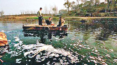 河南東孫樓村被列為癌症村，當地河流嚴重污染。（互聯網圖片）