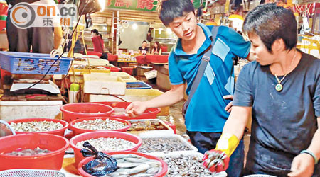 海鮮商販吳女士（右）強調，她出售的花螺全都通過檢測。（黃少君攝）