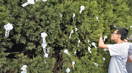學生在南京大屠殺遇難同胞紀念館廣場的樹上綁上悼念絲帶。（中新社圖片）