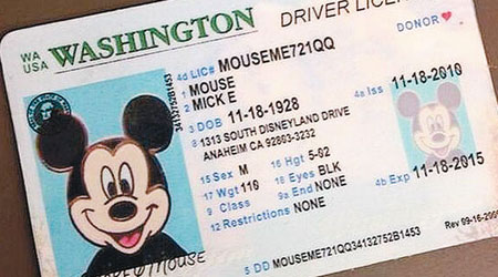 其中一張駕照持有人竟是「米奇老鼠」。（互聯網圖片）