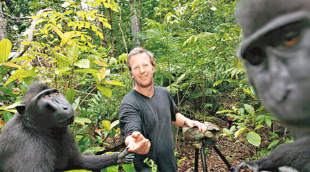 攝影師斯萊特亦成為黑冠獼猴的拍攝對象之一。（互聯網圖片）