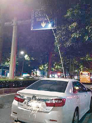 盜杧者在夜晚駕車用長竹採摘杧果。（互聯網圖片）