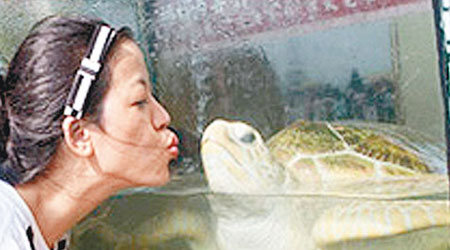 放生過程<br>女遊客在放生大海龜前，親吻合影留念。（互聯網圖片）