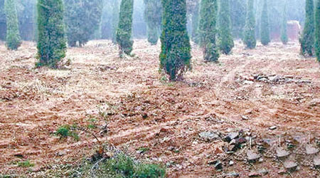 河南 <br>洛陽烈士墓第一區被夷為平地。（互聯網圖片）