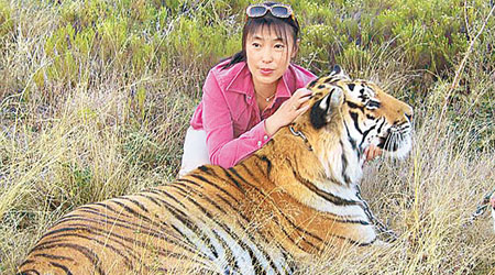 全莉與丈夫創立拯救中國虎國際基金會。（互聯網圖片）