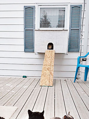寓所外搭建木架，讓流浪貓躲進去避寒。（互聯網圖片）