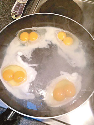 菲達拉連續打四隻有雙蛋黃的雞蛋。（互聯網圖片）