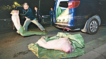 執法人員截獲車內有問題的羊肉。（互聯網圖片）